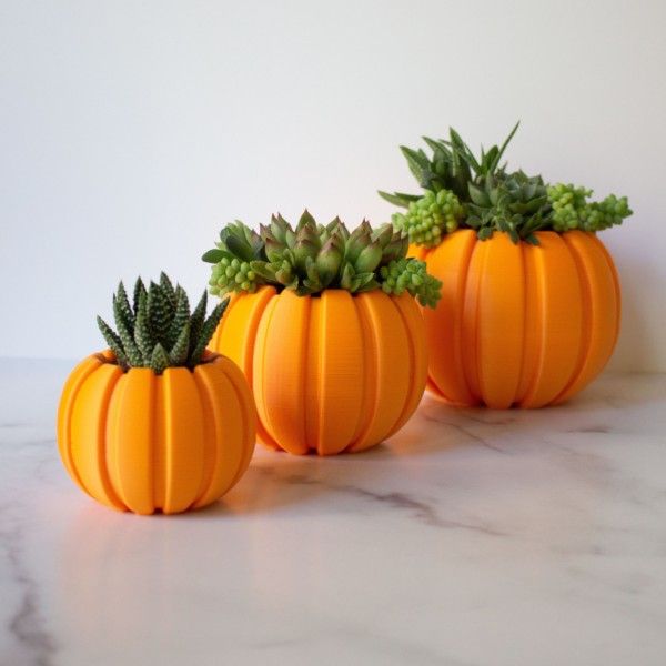 Succulent Pumpkin Planter, Fall Succulent Planter, Autumn Pumpkin Pot, Fall Decor Pumpkin, Thanksgiving Pumpkin, Thanksgiving Table Decor