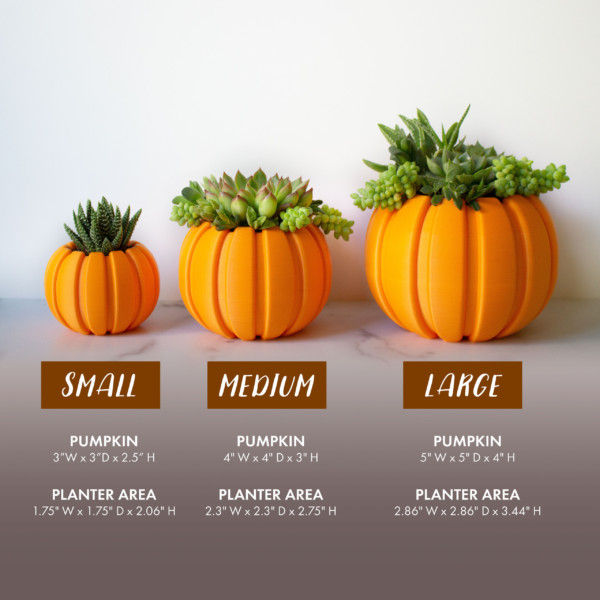 Wood Pumpkin Succulent Planter Centerpiece, Decorating Pumpkin for Autumn Decor, Small Plant Pot