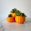 SMALL Succulent Pumpkin Planter, Fall Succulent Planter, Autumn Pumpkin Pot, Halloween Planter for Succulents, Succulent Pot