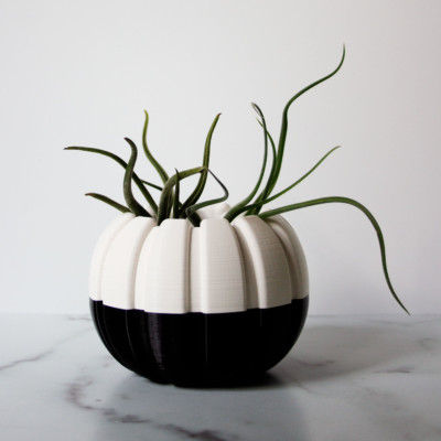 Creepy Halloween Pumpkin Planter, Black and White Pumpkin, Spooky Pumpkin