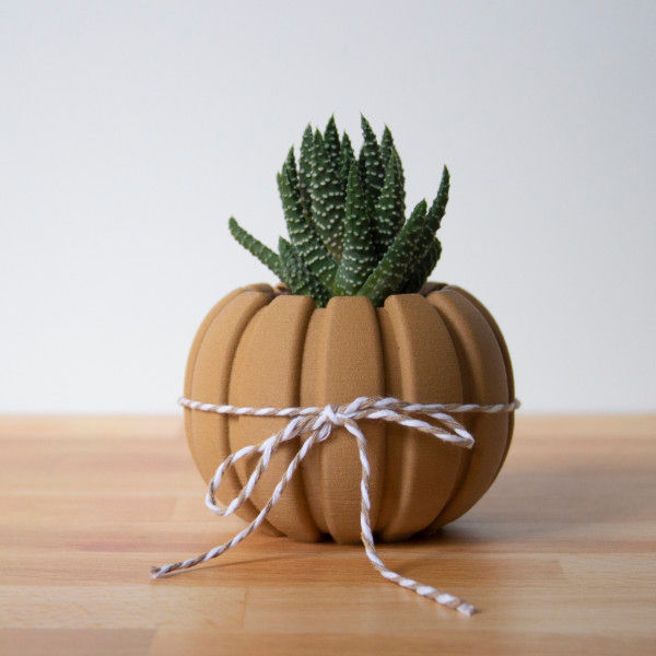 Wood Pumpkin Succulent Planter Centerpiece, Decorating Pumpkin for Autumn Decor, Small Plant Pot