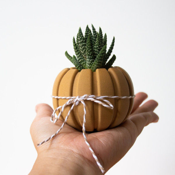 Wood Pumpkin Succulent Planter Centerpiece, Decorating Pumpkin for Autumn Decor, Small Plant Pot