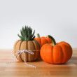 Wood Pumpkin Succulent Planter Centerpiece, Decorating Pumpkin for Autumn Decor, Small Plant Pot