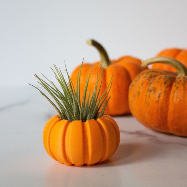 Pumpkin Air Plant Holder for Air Plant Gift, Unique Mini Air Plant Container, Pumpkin Air Planter, Small Plant Pot, Pumpkin Planter