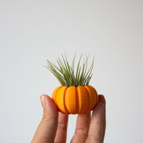 Pumpkin Air Plant Holder for Air Plant Gift, Unique Mini Air Plant Container, Pumpkin Air Planter, Small Plant Pot, Pumpkin Planter