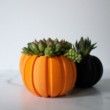 MEDIUM Pumpkin Planter, Succulent Fall Decor, Succulent Gift for Fall, Autumn Gift, Autumn Decor Gift