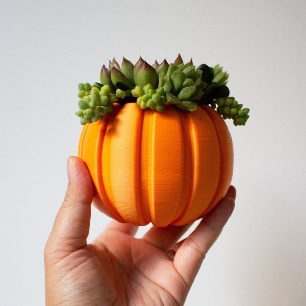 Succulent Pumpkin Planter, Fall Succulent Planter, Autumn Pumpkin Pot, Fall Decor Pumpkin, Thanksgiving Pumpkin, Thanksgiving Table Decor