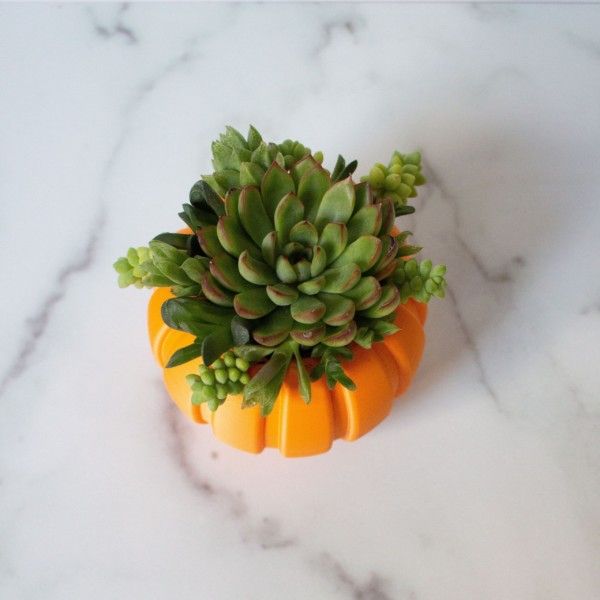 MEDIUM Pumpkin Planter, Succulent Fall Decor, Succulent Gift for Fall, Autumn Gift, Autumn Decor Gift