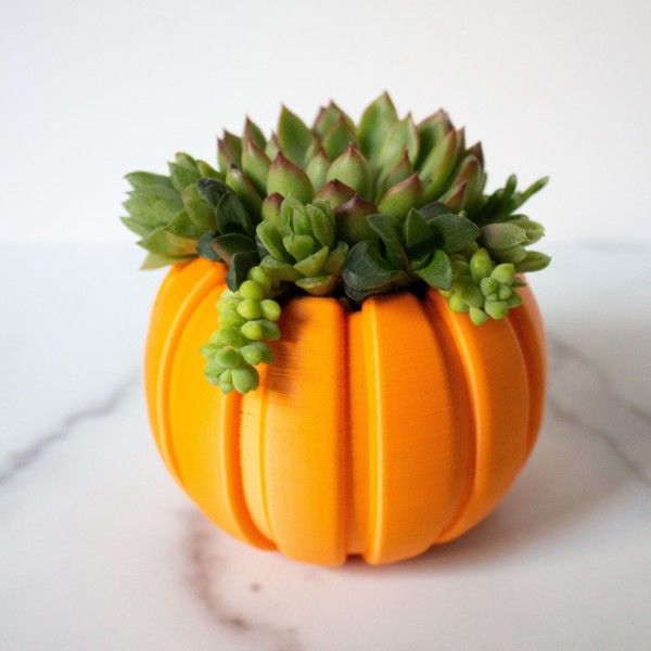 MEDIUM Pumpkin Planter, Succulent Fall Decor, Succulent Gift for Fall, Autumn Gift, Autumn Decor Gift