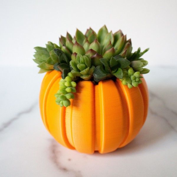 Succulent Pumpkin Planter, Fall Succulent Planter, Autumn Pumpkin Pot, Fall Decor Pumpkin, Thanksgiving Pumpkin, Thanksgiving Table Decor