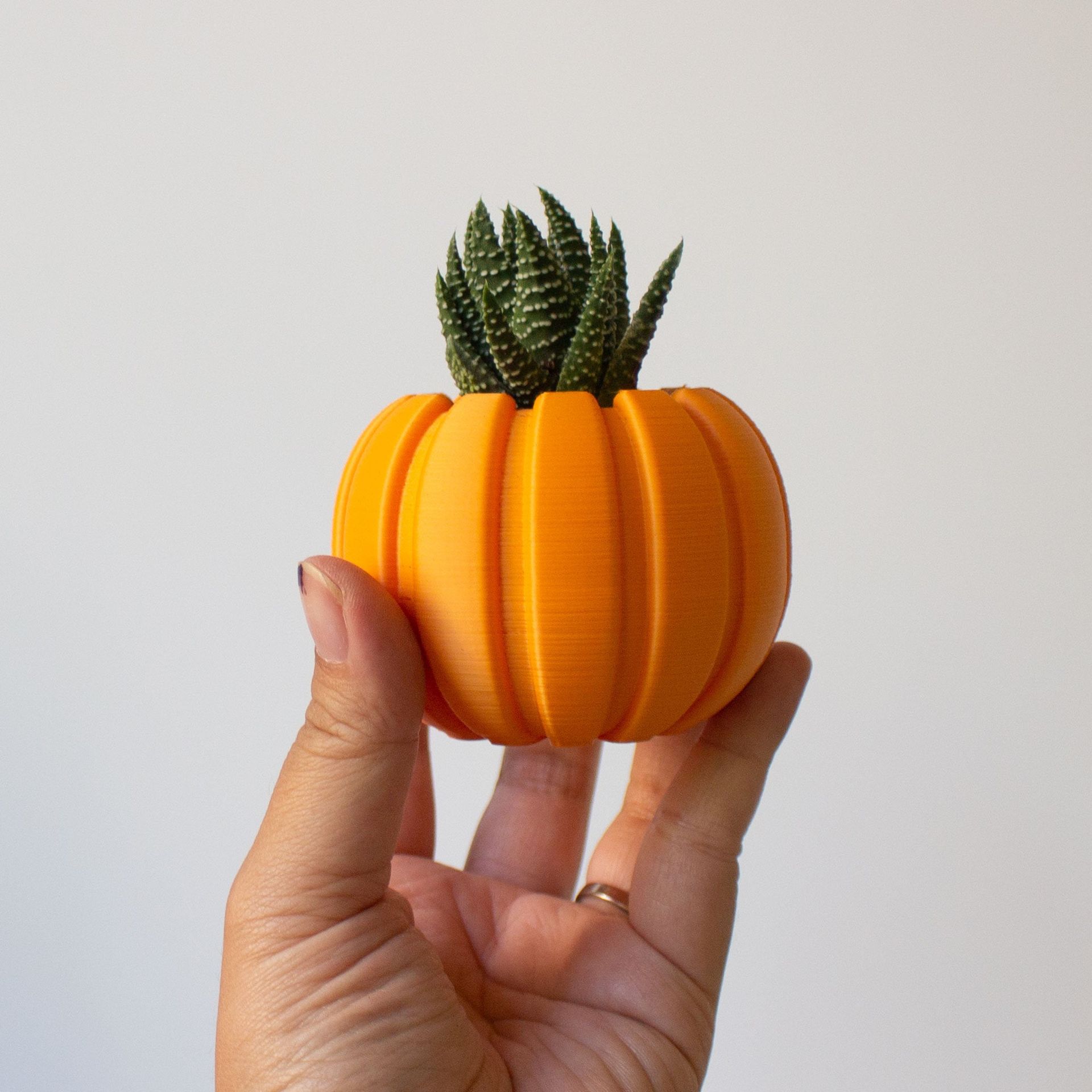 SMALL Succulent Pumpkin Planter, Fall Succulent Planter, Autumn Pumpkin Pot, Halloween Planter for Succulents, Succulent Pot