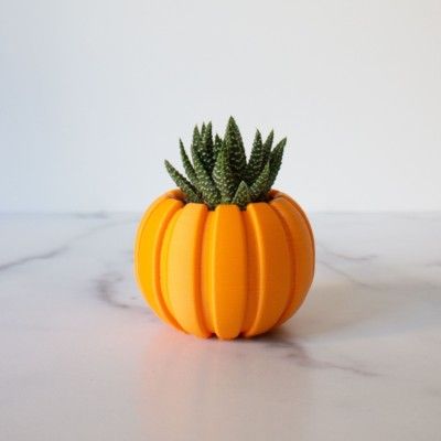 SMALL Succulent Pumpkin Planter, Fall Succulent Planter, Autumn Pumpkin Pot, Halloween Planter for Succulents, Succulent Pot