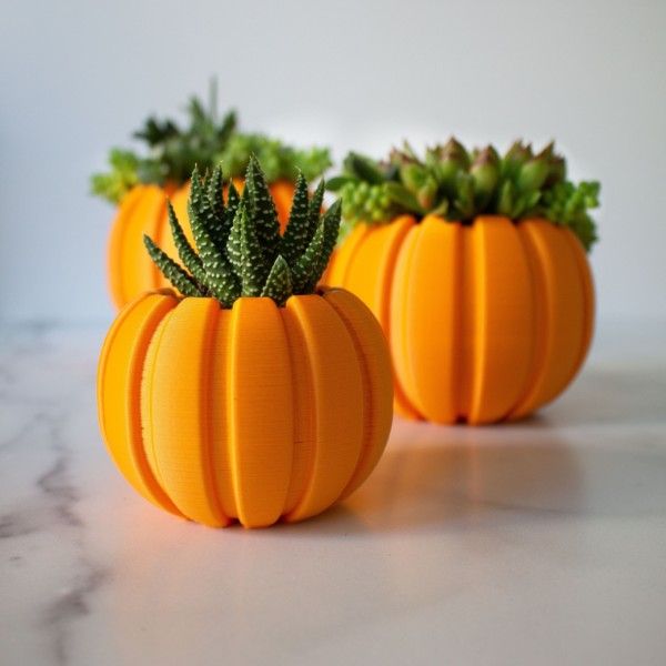 SMALL Succulent Pumpkin Planter, Fall Succulent Planter, Autumn Pumpkin Pot, Halloween Planter for Succulents, Succulent Pot