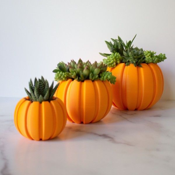 LARGE Succulent Pumpkin Planter, Fall Succulent Planter, Autumn Pumpkin Pot, Halloween Planter for Succulents, Succulent Arrangement Pot