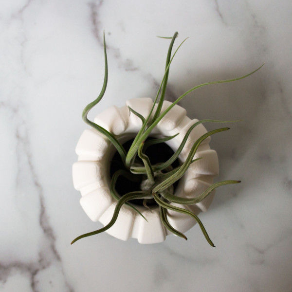 Creepy Halloween Pumpkin Planter, Black and White Pumpkin, Spooky Pumpkin