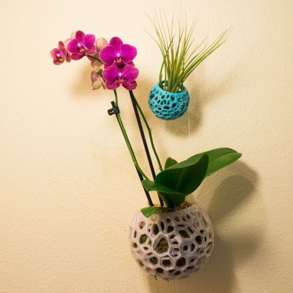 DIY Kokedama, Hanging Planter, Orchid Pot, Air Plant Holder, Moss Ball, Voronoi Hanging Planter, Jellyfish, Moss Planter, Bonsai Pot