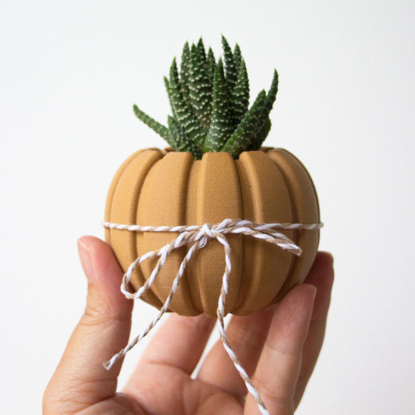 Wood Pumpkin Succulent Planter Centerpiece, Decorating Pumpkin for Autumn Decor, Small Plant Pot