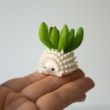 Single Mini Hedgehog Planter, Mini Hedgehog Pot, Tiny Succulent Planter, Tiny Hedgehog Air Planter