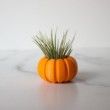 Pumpkin Air Plant Holder for Air Plant Gift, Unique Mini Air Plant Container, Pumpkin Air Planter, Small Plant Pot, Pumpkin Planter