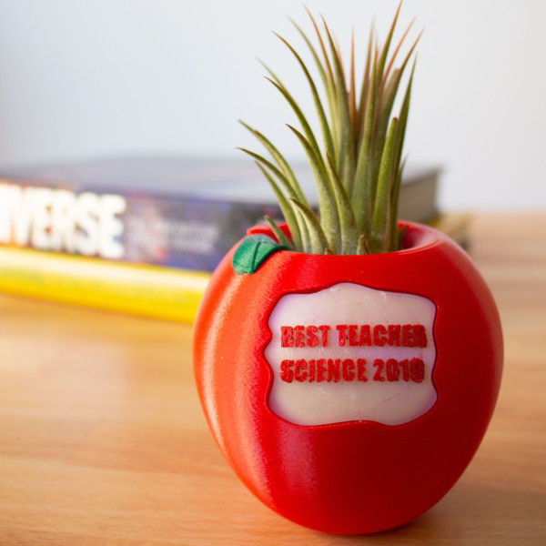 PERSONALIZED Apple Air Plant Holder for Teacher Appreciation Gift, End of Year Teacher Gift, Preschool Teacher Gift, Air Planter