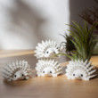 BULK WHOLESALE - Set of 5 Mini Hedgehog Planters for Succulent or Cactus Cuttings, Mini Hedgehog Pots for Plant Boutiques