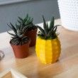 Small Pineapple Succulent Pot, Pineapple Planter for Haworthia, Pineapple Succulent Planter, Cute Pineapple Pot, Succulent Pineapple