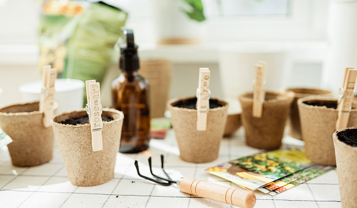 Indoor Herb Garden