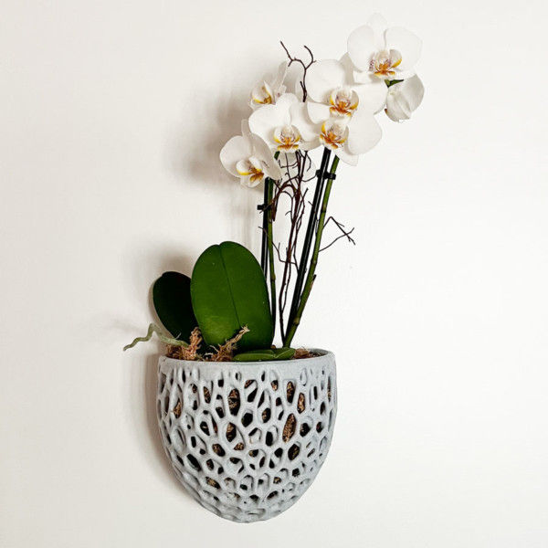Orchid Wall Planter