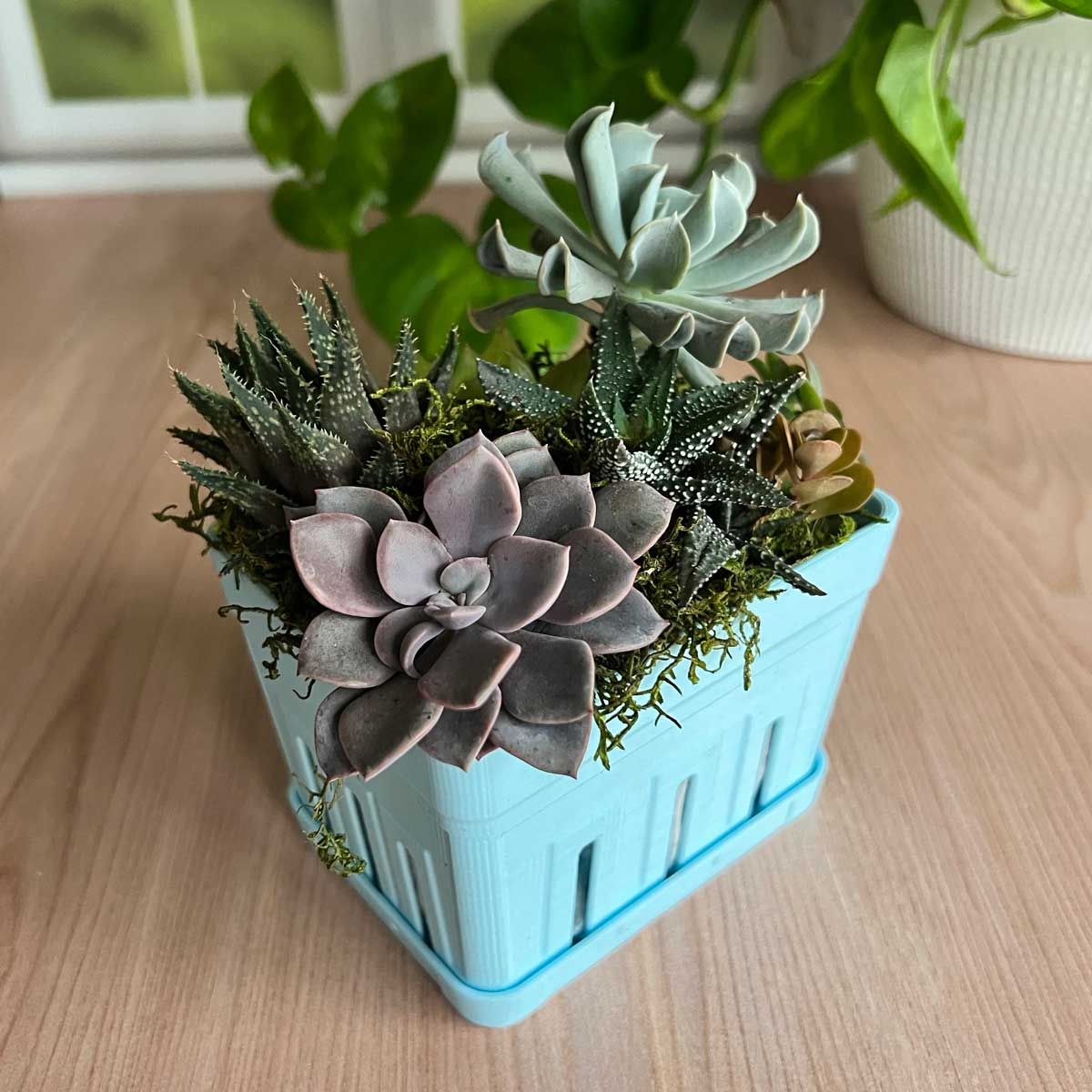 PrintAPot Berry Basket Planter