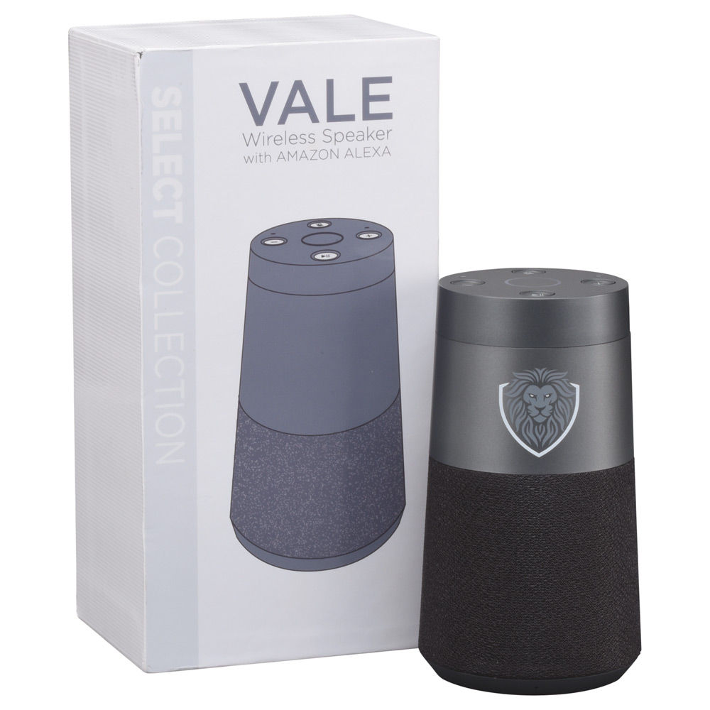 vale wifi speaker with amazon alexa