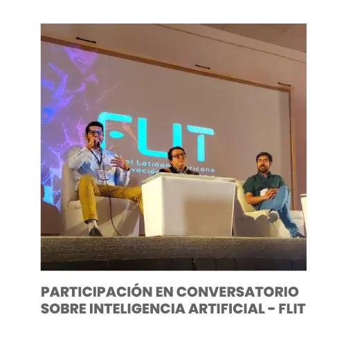 Participación en FLIT