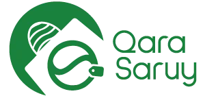qarasaruy