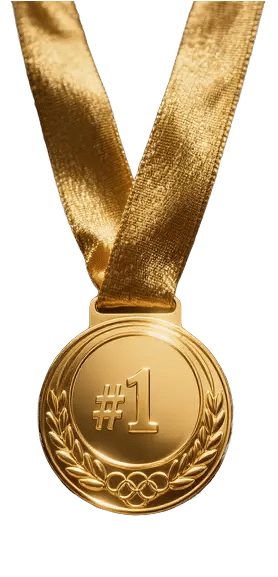 Google ranking excellence medal