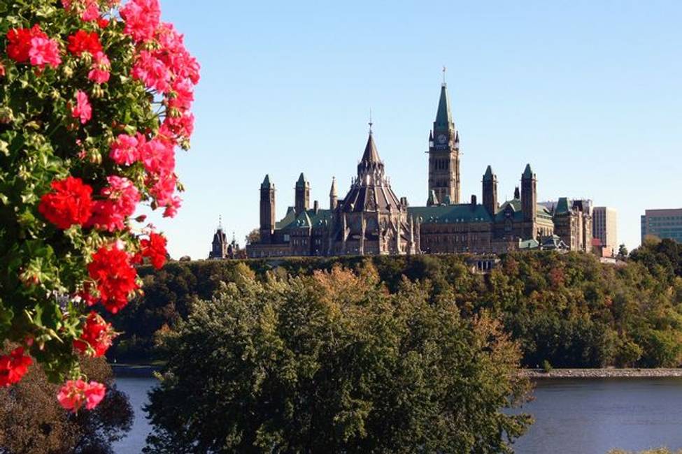 Email Your MP