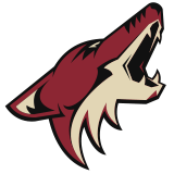 Arizona Coyotes