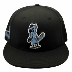 Exclusive New Era St. Louis Cardinals Cream / Icy Blue / Gray Brand New Sz  7