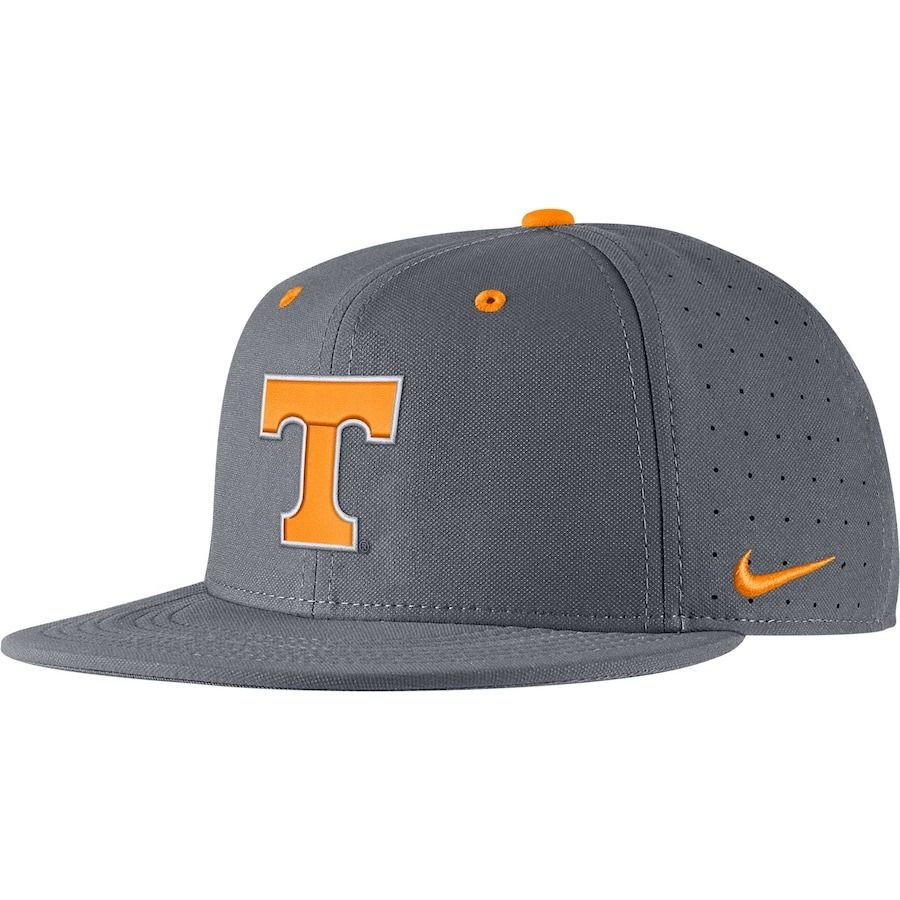 Gray 2025 nike hat