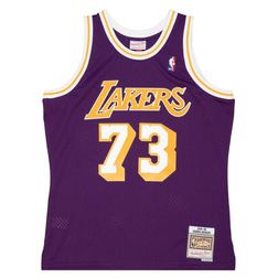 Los Angeles Lakers Dennis Rodman Mitchell & Ness 1998-99 Hardwood Classics Swingman Player Purple Jersey