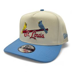 St. Louis Cardinals Chrome and Light Blue Script New Era A-Frame Snapback Hat