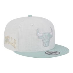 Chicago Bulls Mint Breeze Gray UV New Era 9FIFTY Snapback Hat