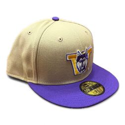 Washington Huskies Camel Brown White Basic Gray UV New Era 59FIFTY Fitted Hat