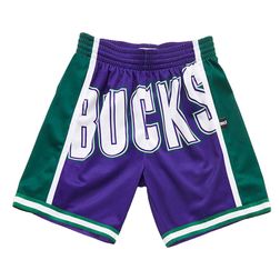 Milwaukee Bucks Big Face 2.0 Mitchell & Ness Purple Shorts