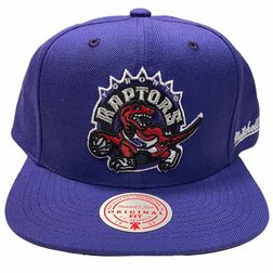 Toronto Raptors Mitchell & Ness Silver English Dropback HWC Purple Snapback Hat