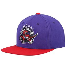 Toronto Raptors Two Tone 2.0 Mitchell & Ness NBA Snapback Hat