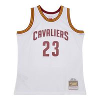Cleveland Cavaliers Lebron James Mitchell & Ness 2003-04 Hardwood