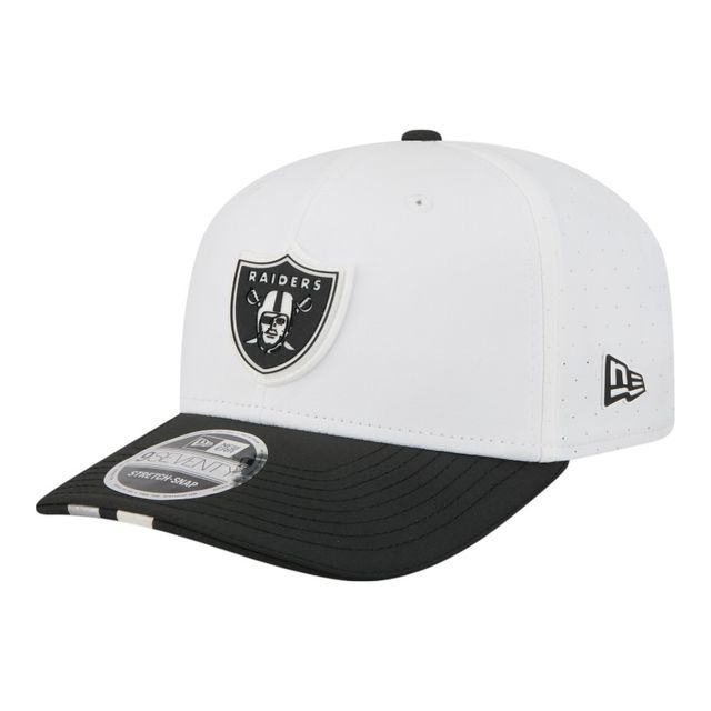 【未開封】25th L RAIDERS 1BOX EU版 NFL Las Vegas Raiders Team Spirit Design Black Matte Windproof