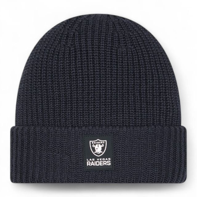Las Vegas Raiders Black 2025 Sideline Cold Weather Steel Clouds