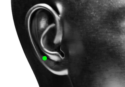 Position hohes Ohrläppchen Piercing