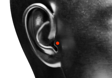 Position Tragus Piercing