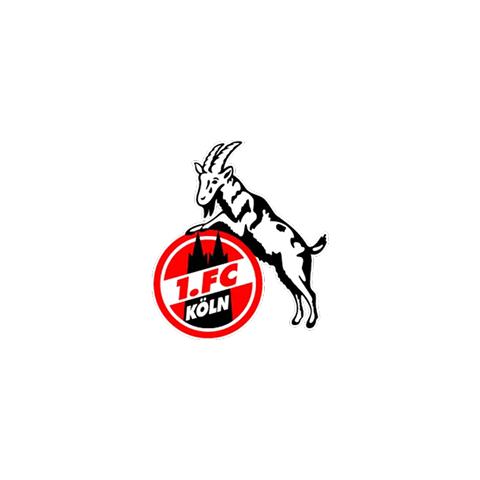 1.FC Köln | Fundraising Partner
